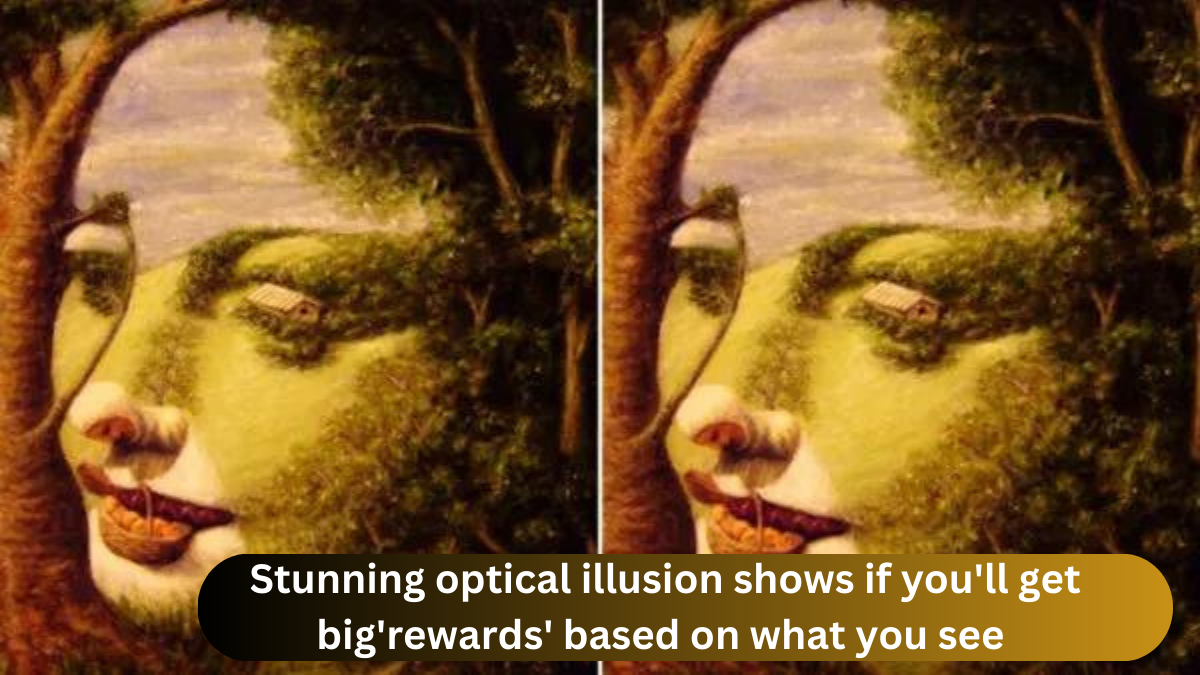 Stunning optical illusion shows if you’ll get big’rewards’ based on what you see