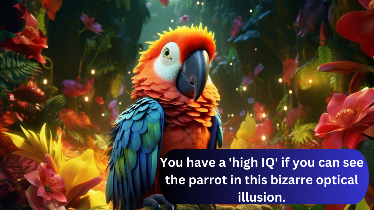 You have a ‘high IQ’ if you can see the parrot in this bizarre optical illusion.