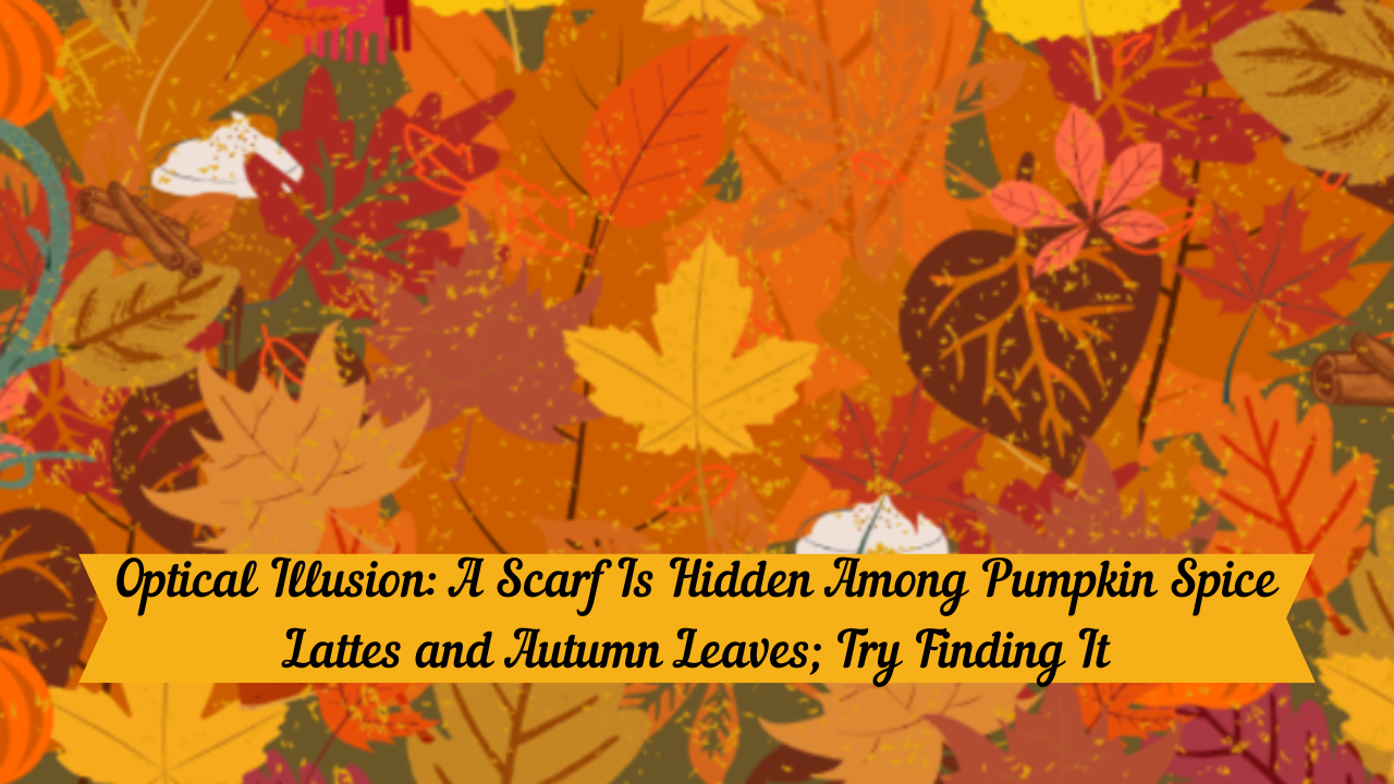 Optical Illusion: A Scarf Is Hidden Among Pumpkin Spice Lattes and Autumn Leaves; Try Finding It