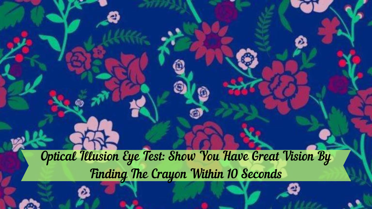 Optical Illusion Eye Test: Show You Have Great Vision By Finding The Crayon Within 10 Seconds